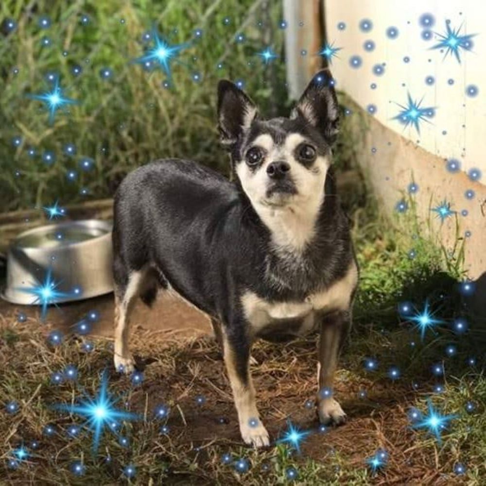 Meet your Posher, Tammy